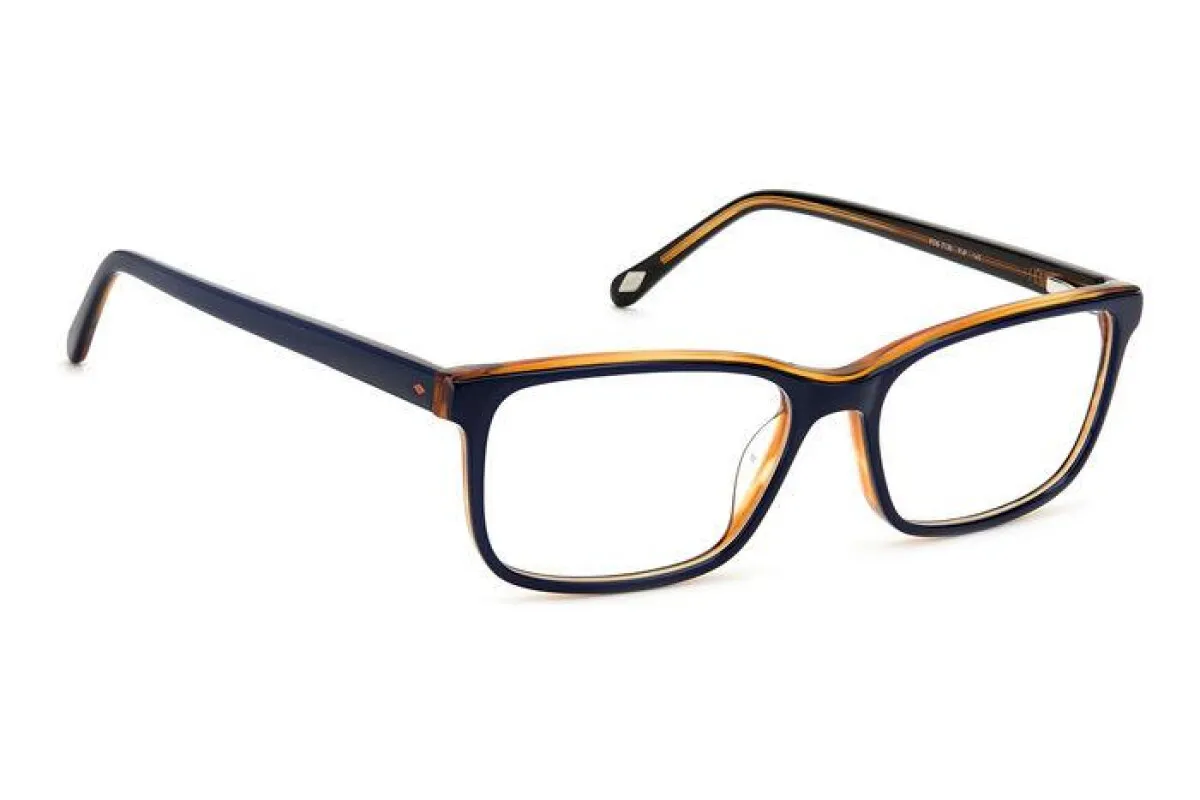 Bril Fossil FOS 7136 106231 (PJP)